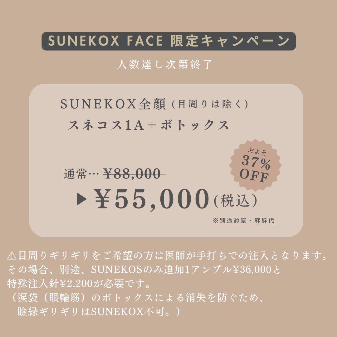 SUNEKOX FACE限定キャンペーン