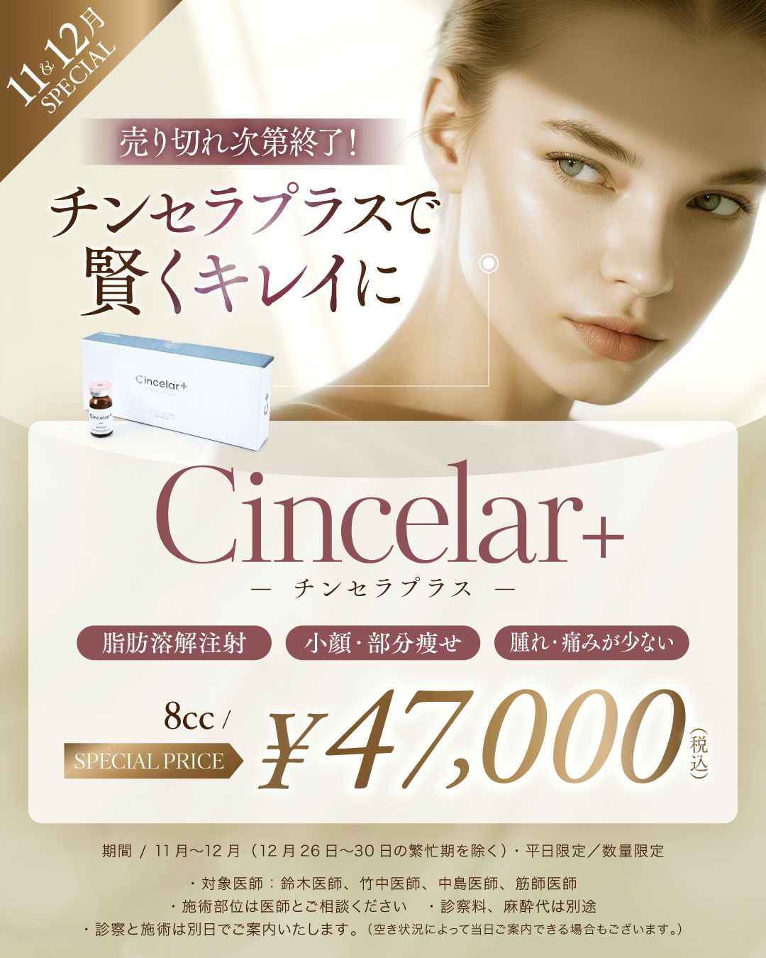 11～12月限定　チンセラプラス