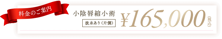 小陰唇縮小術165,000円