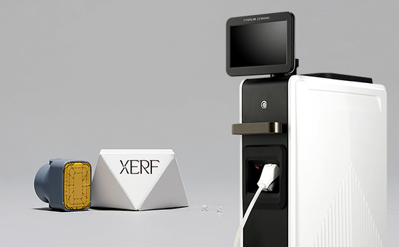 XERF（ザーフ）とは